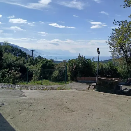 I Corbezzoli